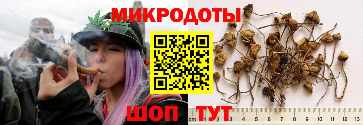 Галлюциногенные грибы мицелий  Галлюциногенные грибы Psilocybine cubensis  Вход с VPN  Люберцы 