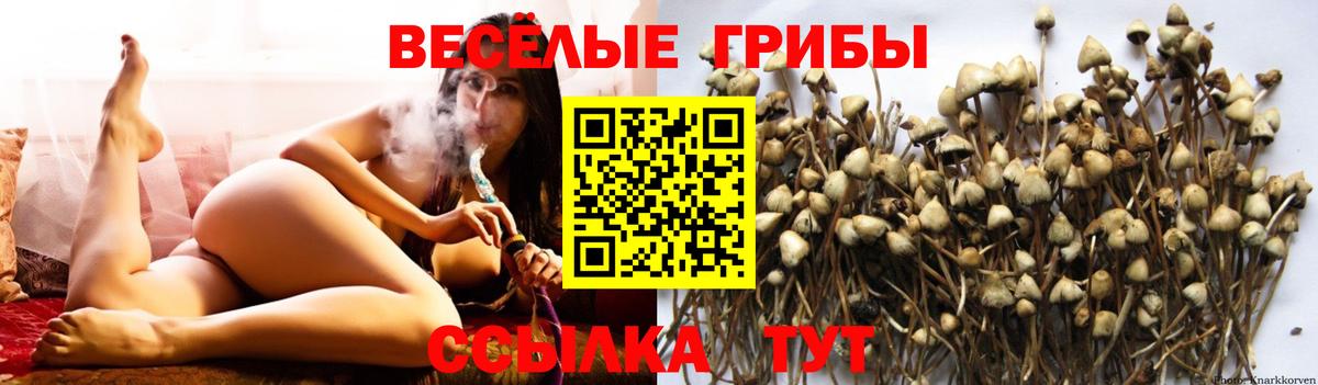 Псилоцибиновые грибы мухоморы Люберцы